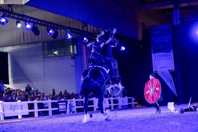 Hund und Pferd 2024 Gladiator Horses